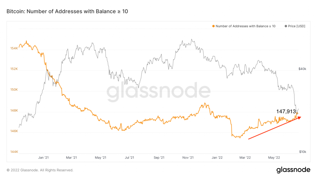 Phân tích chuỗi trực tuyến Bitcoin (BTC) - Mùa tăng giá đã kết thúc chưa?